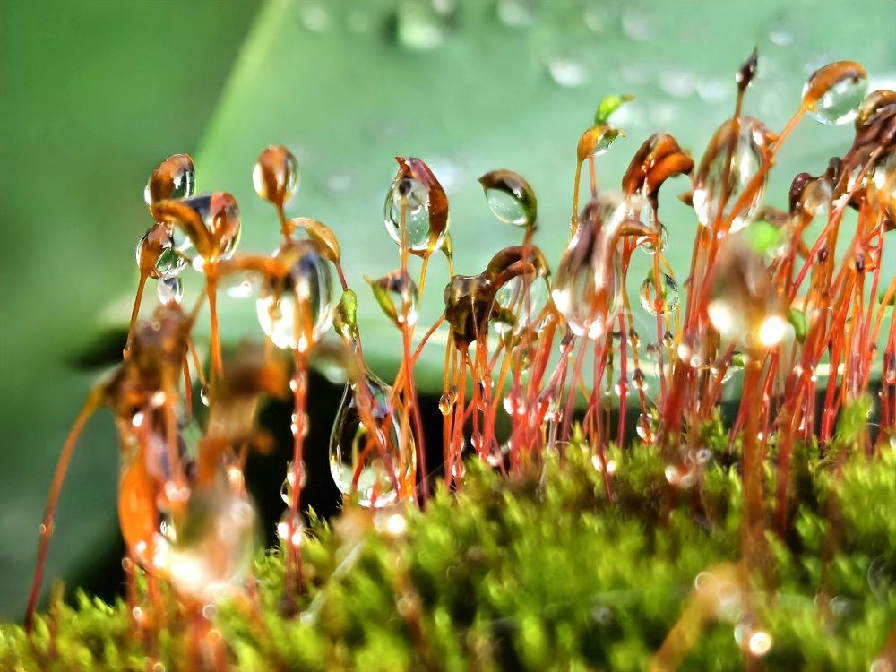 Photograph by Alen Brkić