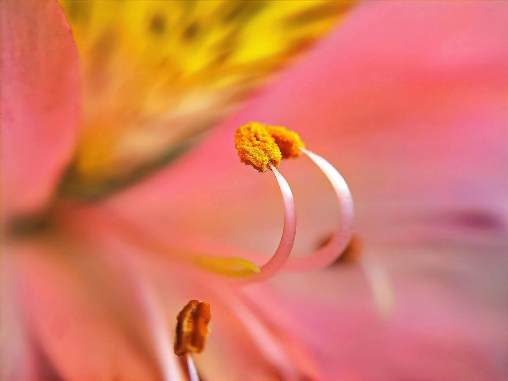 Photograph by Alen Brkić