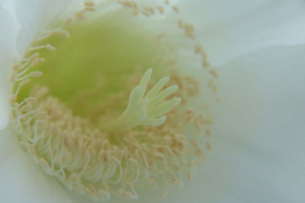 Photograph by Cengiz Yalcin