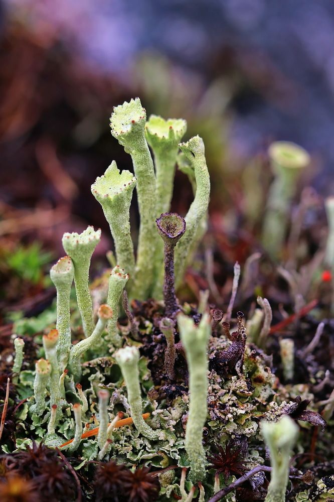 Photograph by Анатолий Васильев