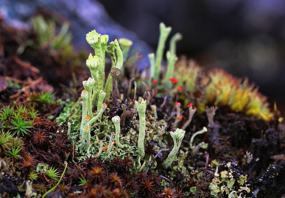 Photograph by Анатолий Васильев