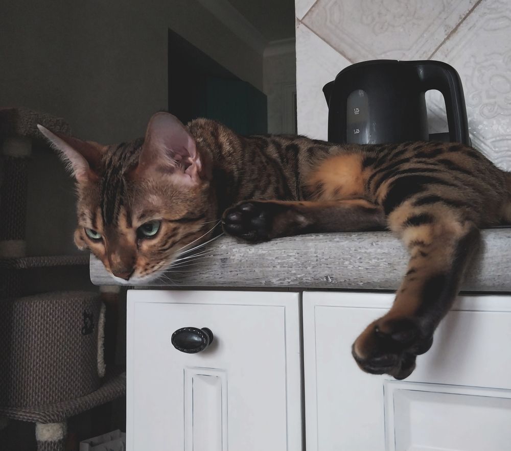 Photograph by Юлия Фирман