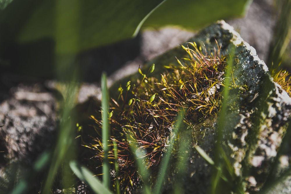 Photograph by Елизавета Большакова