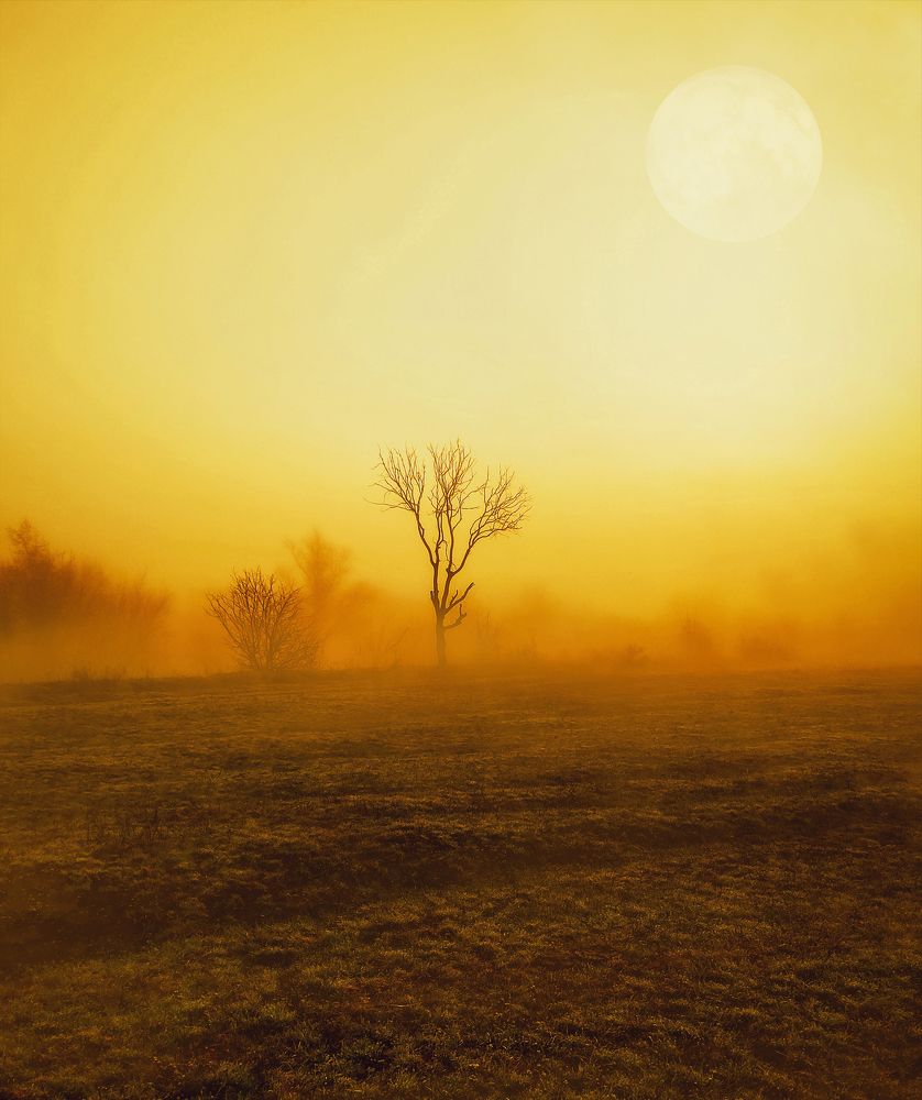 Photograph by Буданова Мария