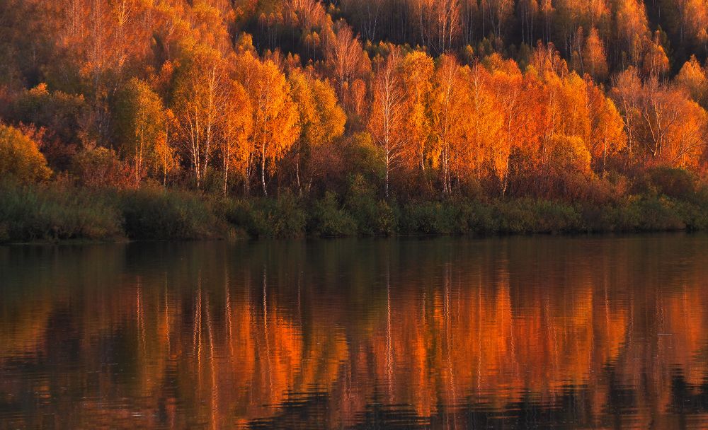 Photograph by Галина Хвостенко