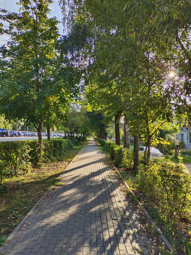 Photograph by Светлана Шуткова