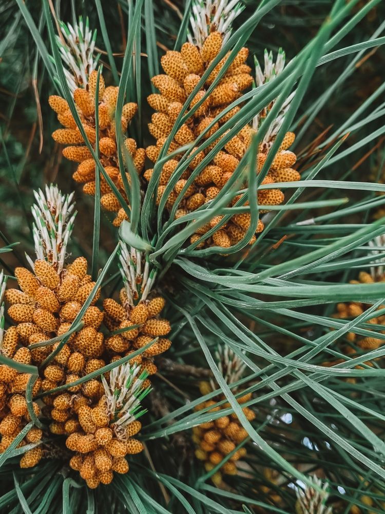 Photograph by Hanna Bourne