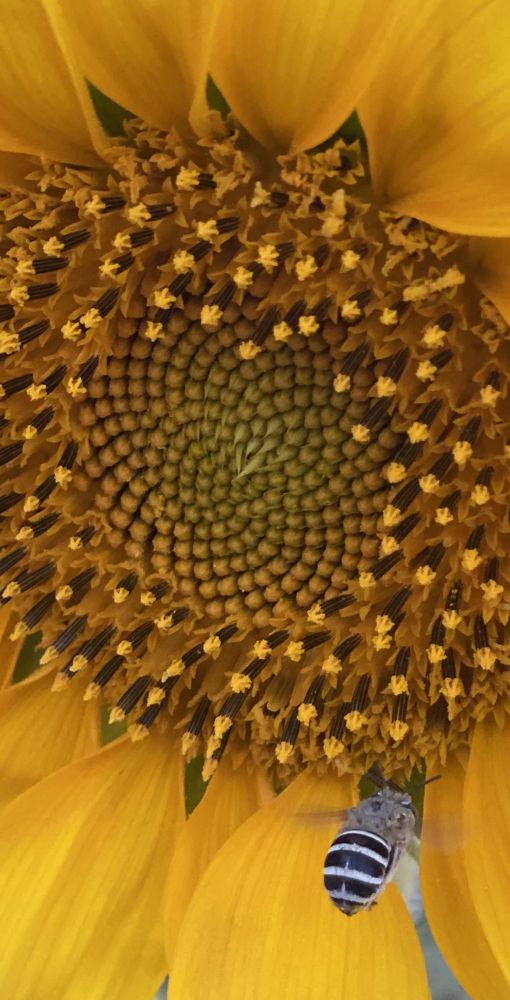 Photograph by Waleed Yousuf Alwahaibi