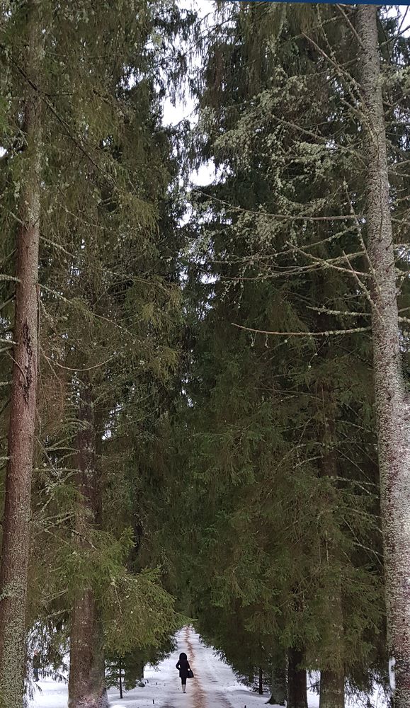 Photograph by Nataliya Kalinina