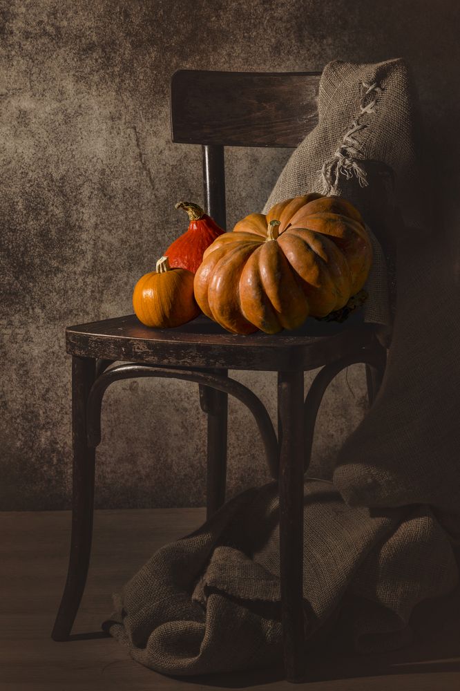 Photograph by FATIH GONUL