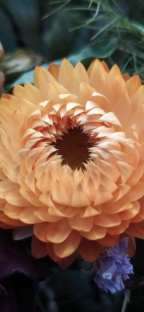 Photograph by Яна Кисловская