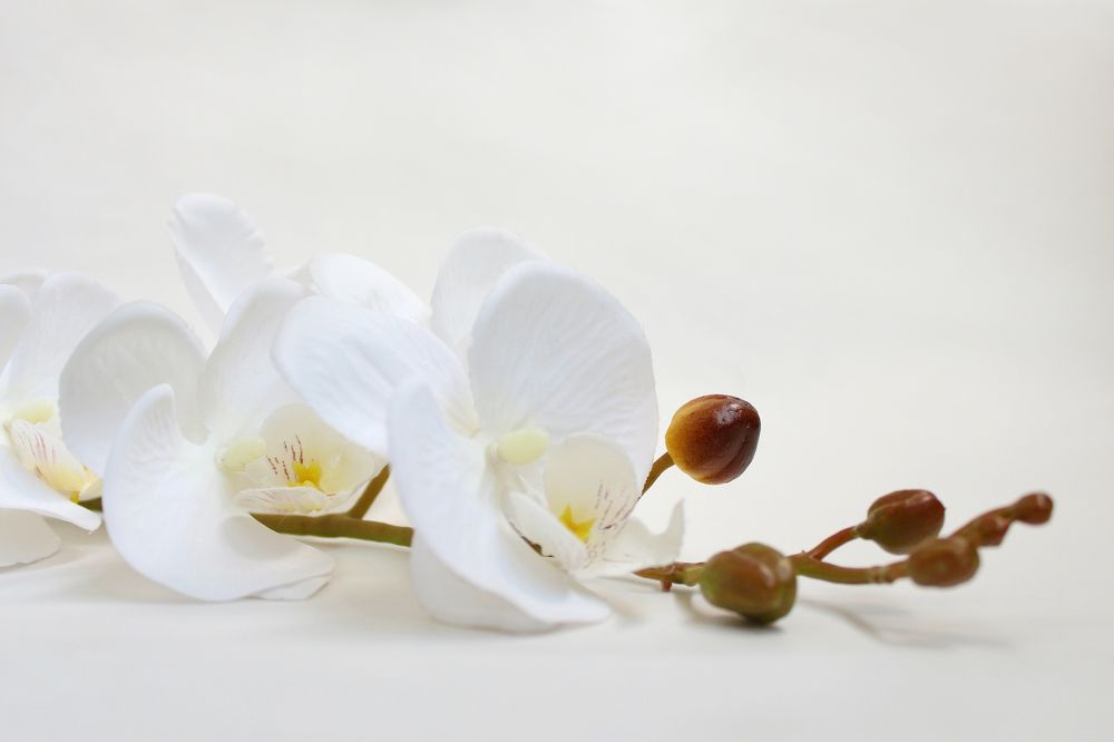 Photograph by Яна Кисловская