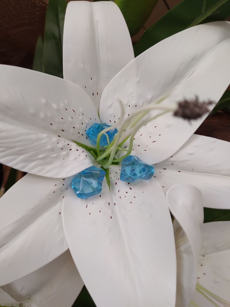 Photograph by Яна Кисловская