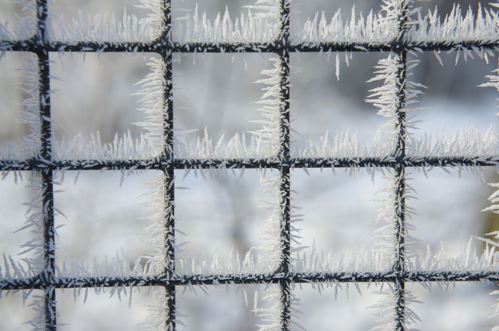 Photograph by Олег