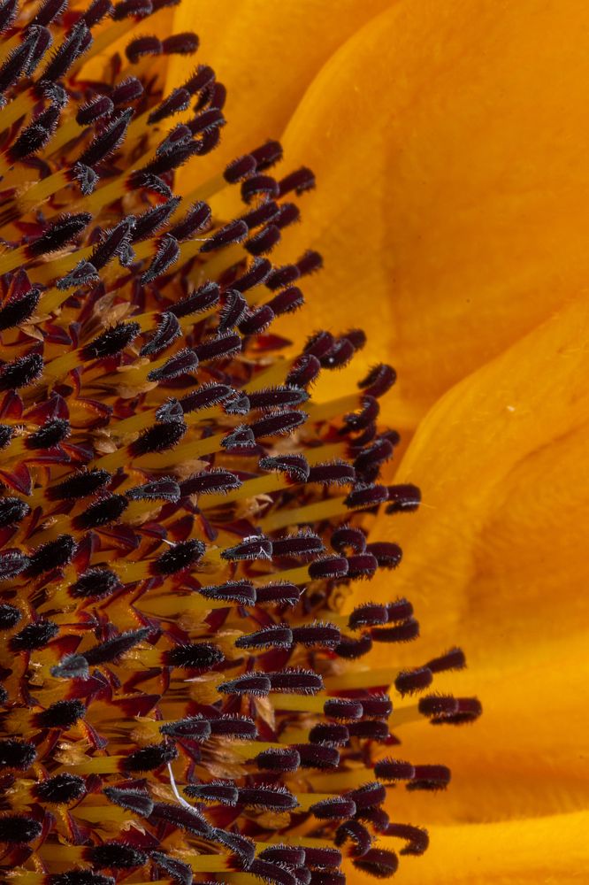 Photograph by Nastya Perekhodkina