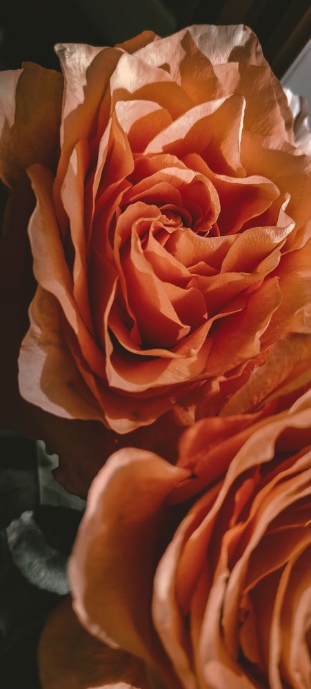 Photograph by Лия