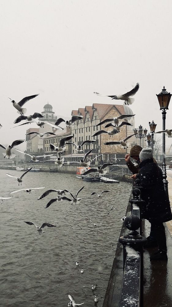 Photograph by Дмитрий Батейкин