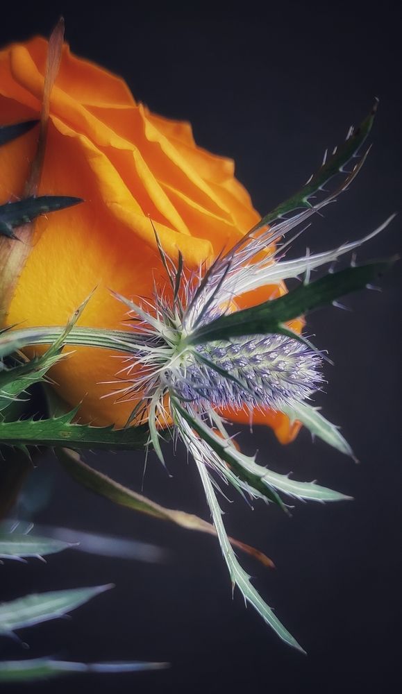 Photograph by Татьяна Гулакова