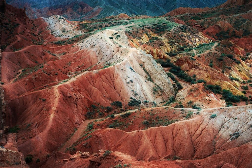 Photograph by Максимушкина Ольга