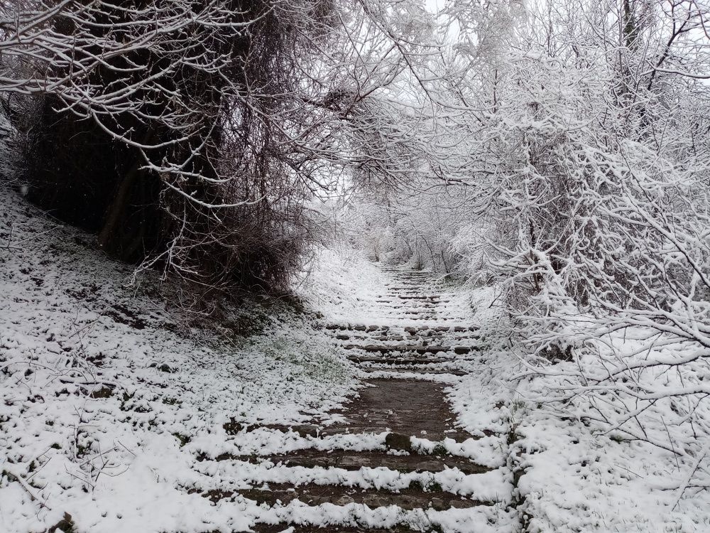 Photograph by Olga Vatkova