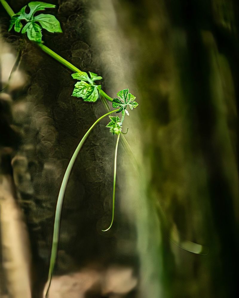 Фотография автора Ray Asiala