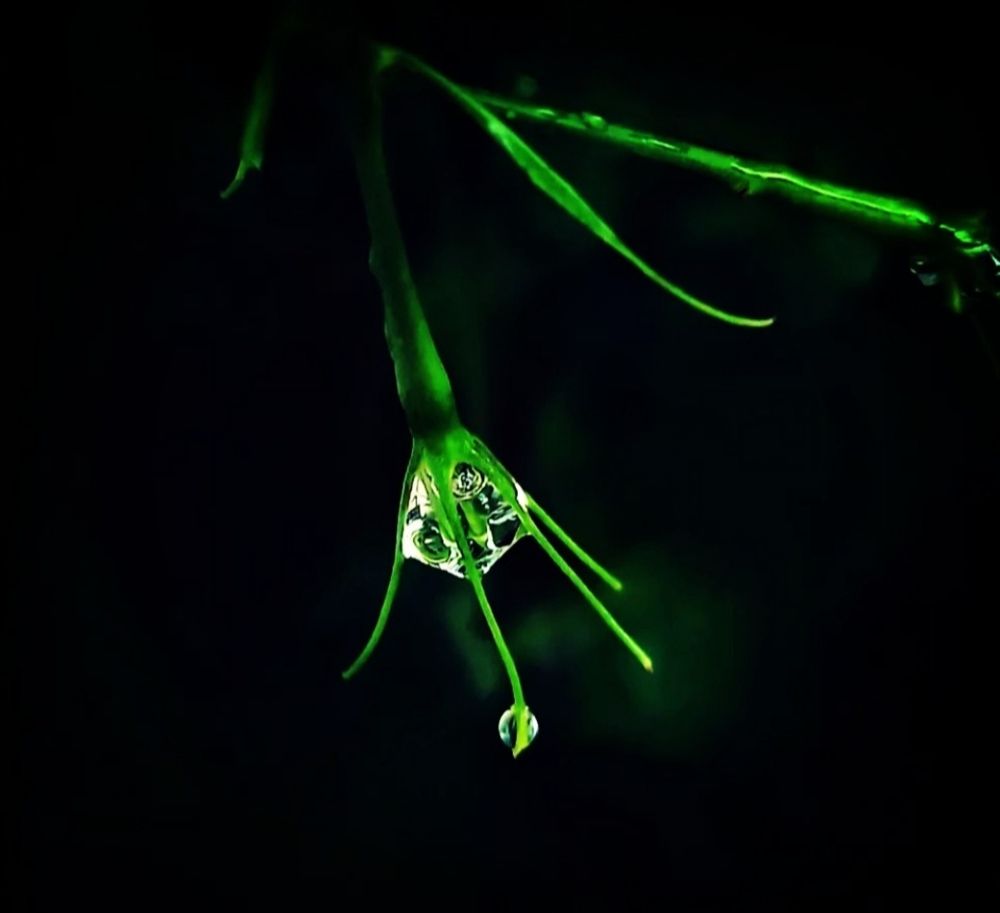 Photograph by S.Pavithra