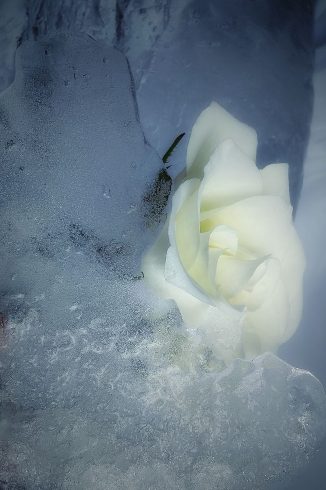 Photograph by Татьяна Гулакова