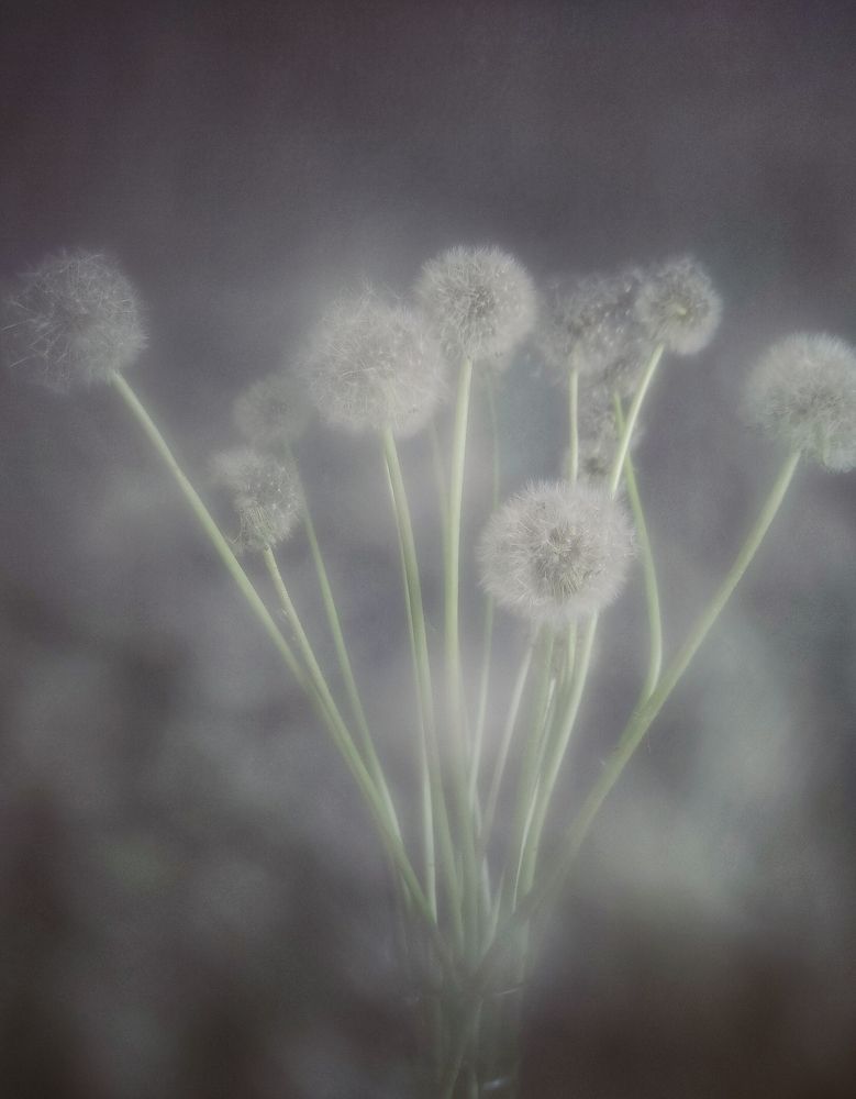 Photograph by Татьяна Гулакова