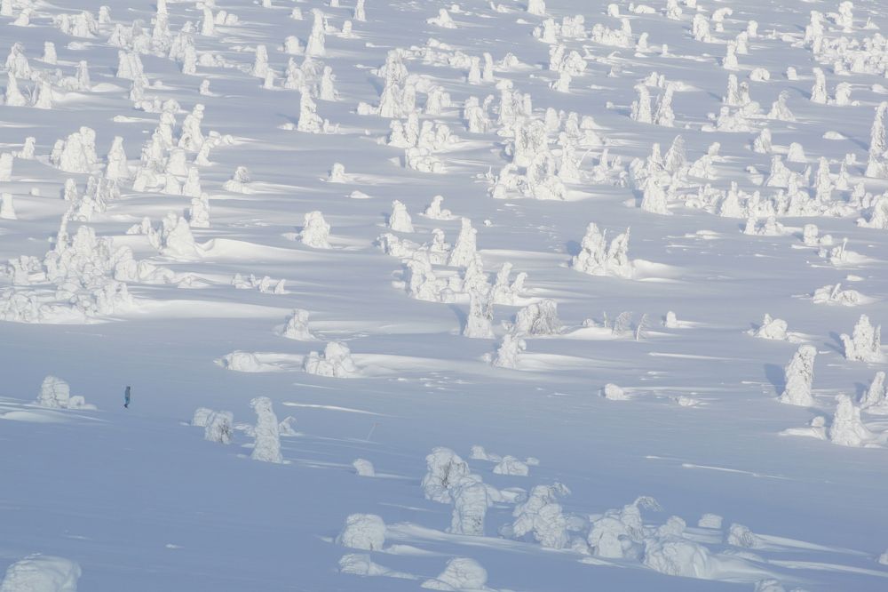 Photograph by Квасов Виктор