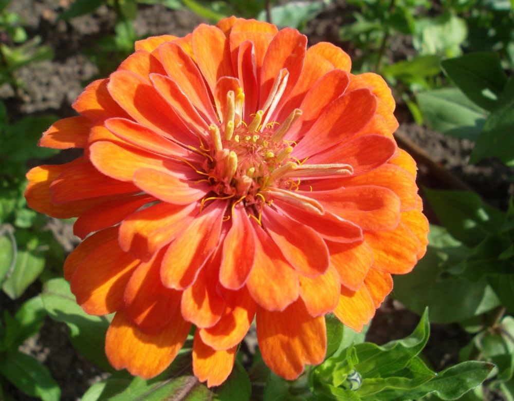 Photograph by Olga Vatkova