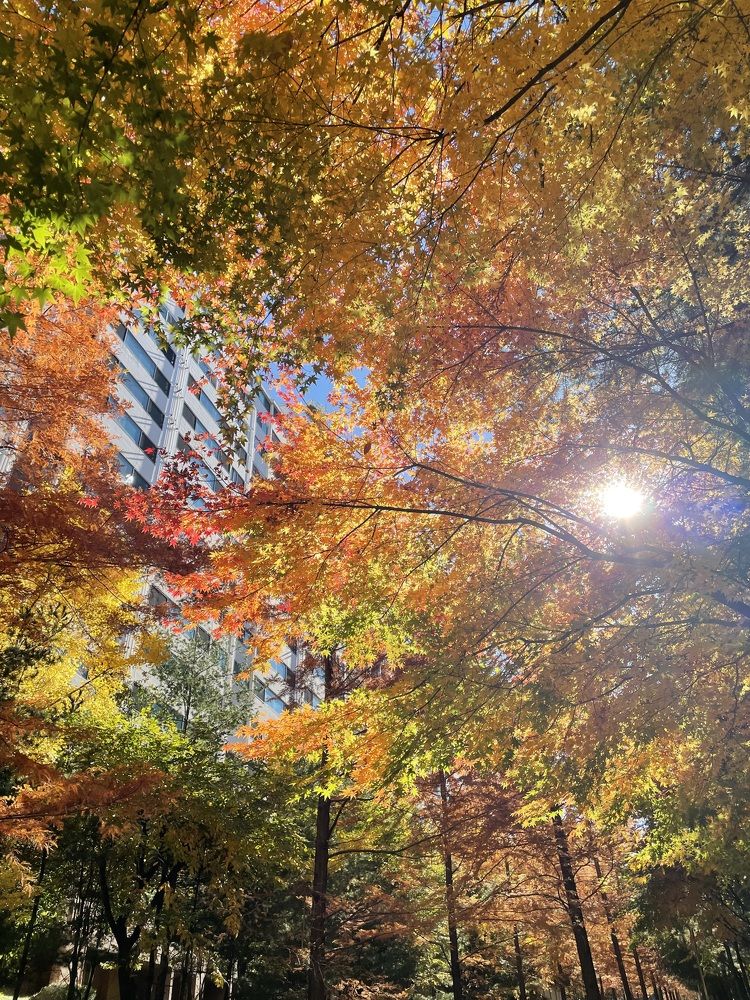 Photograph by Gorobets Olga