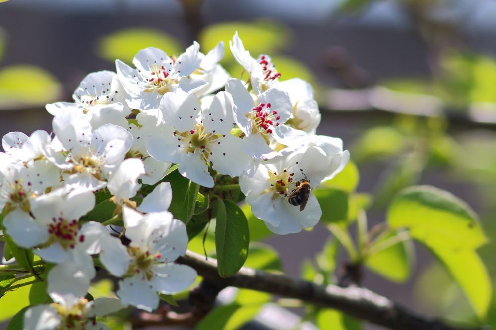 Photograph by Юрий Варюхин