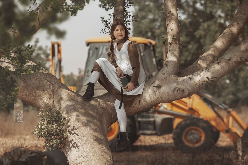 «Энн из Зелёных Крыш» (Anne of Green Gables)