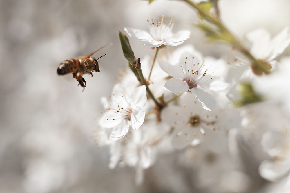 Photograph by Дарья Кончакова