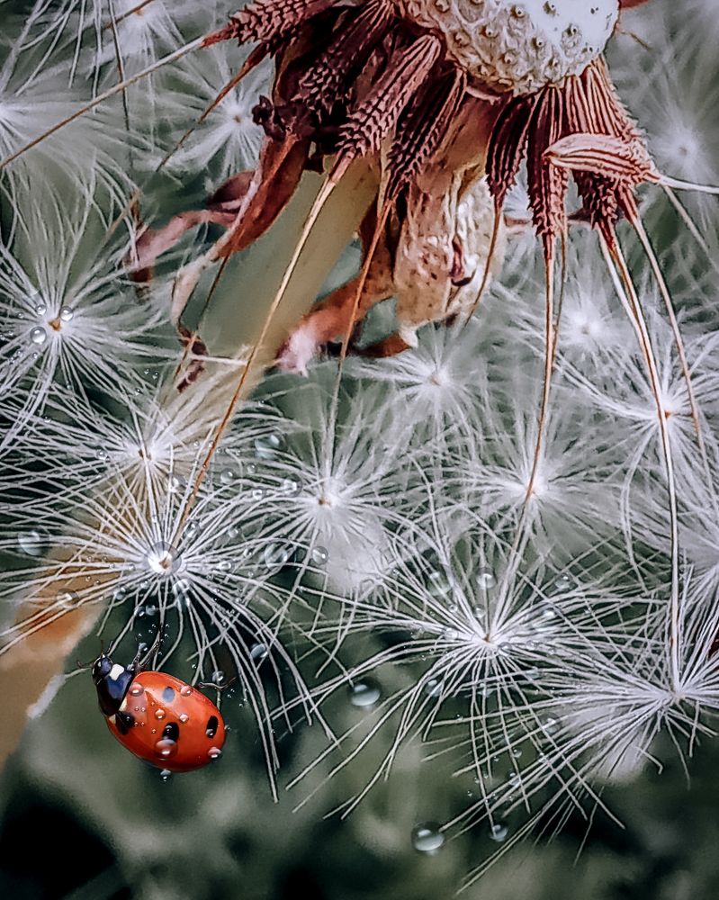 Photograph by Люда Яковлева