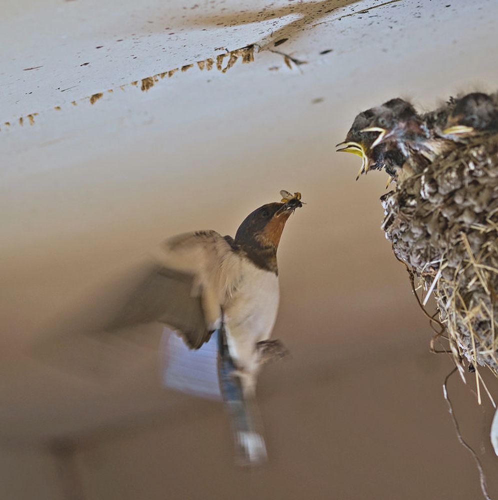 Photograph by Сергей Басов