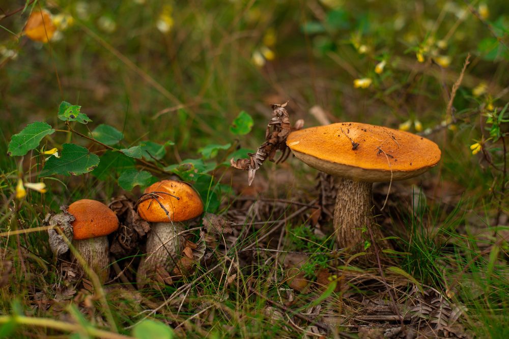 Photograph by Наталья