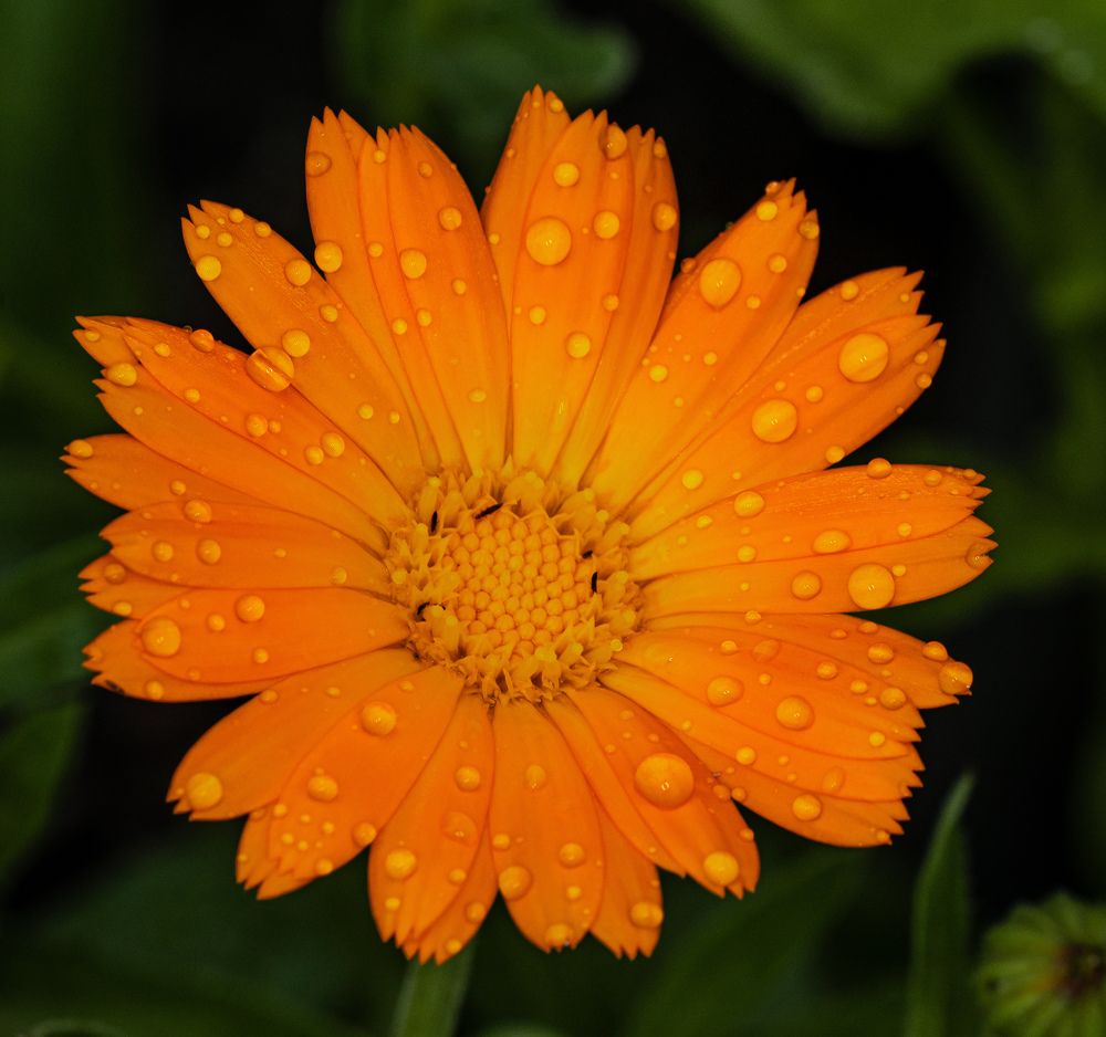 Photograph by Наталья