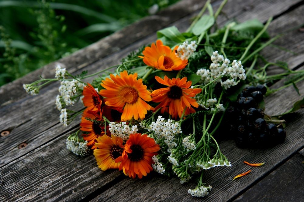 Photograph by Алена Ходатович