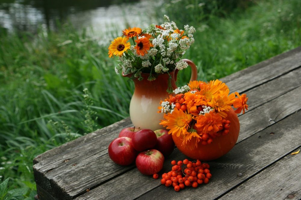 Photograph by Алена Ходатович