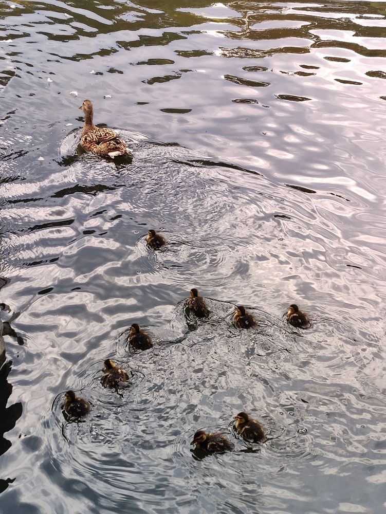 Photograph by Татьяна Гулакова