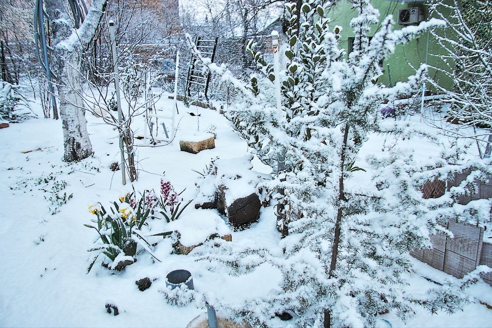 Photograph by Александр Кудрявцев