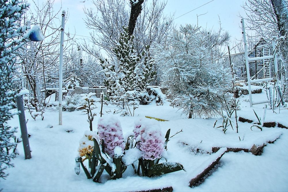 Photograph by Александр Кудрявцев