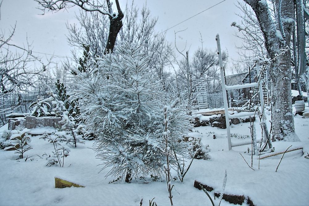 Photograph by Александр Кудрявцев