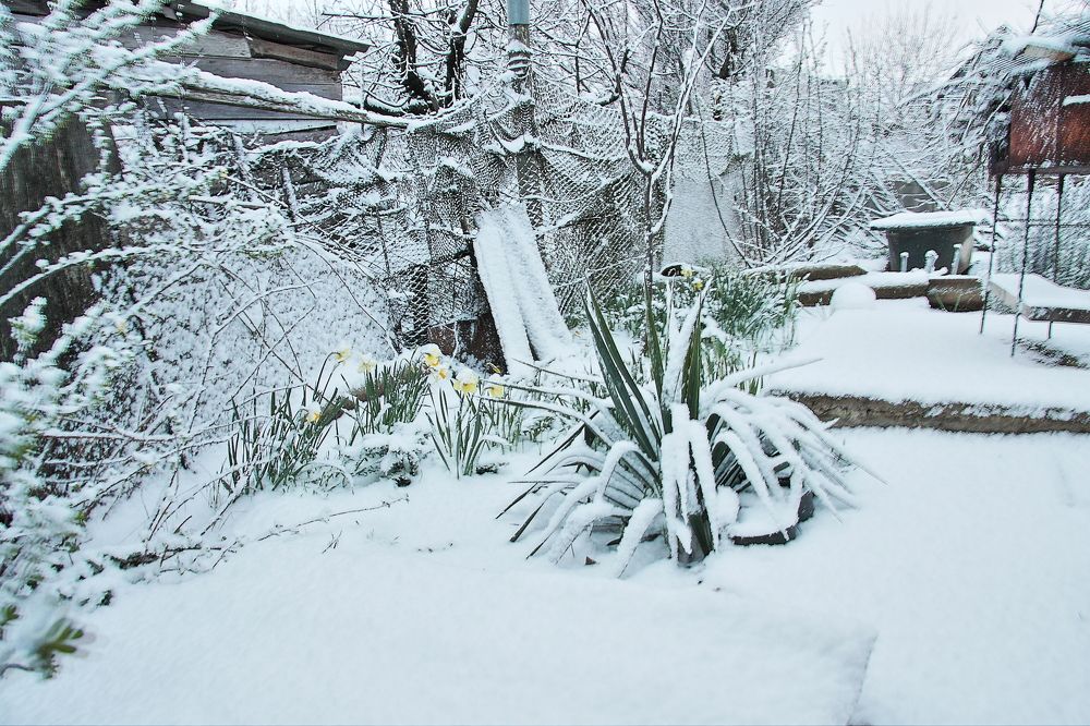 Photograph by Александр Кудрявцев