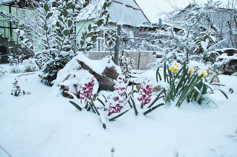 Photograph by Александр Кудрявцев