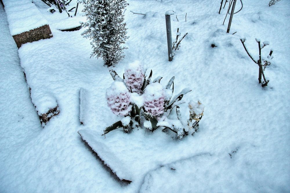 Photograph by Александр Кудрявцев