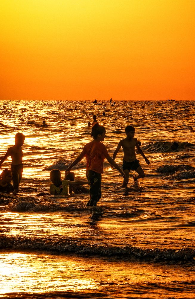 Фотография автора Jafar Zavvar