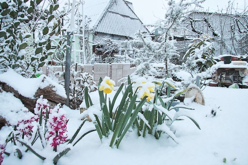 Photograph by Александр Кудрявцев