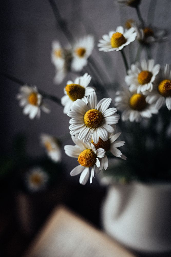 Photograph by Юлия Жукова